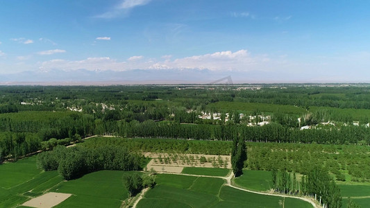 新疆沙漠边缘绿洲航拍