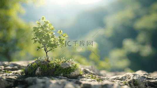 春天石崖上绿植背景1