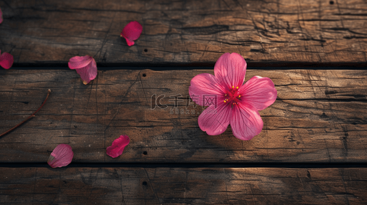 风中的花瓣背景图片_长在木头上一朵花创意背景4