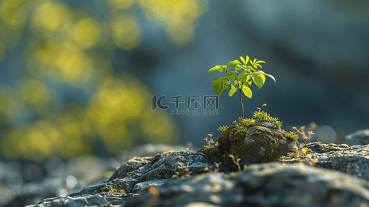 空气背景图片_春天石崖上绿植背景4