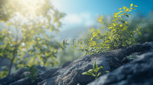 植春季背景图片_春天石崖上绿植背景5