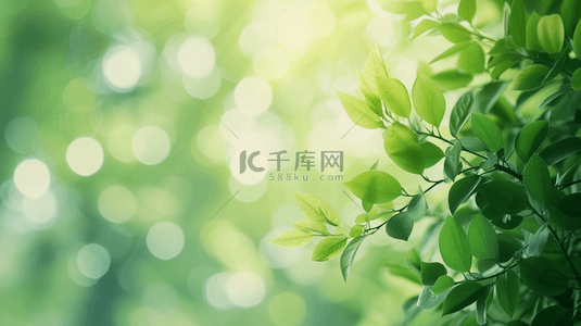 植树节树叶背景图片_春季绿色树叶清新背景1