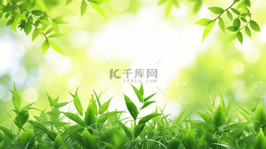 春季生机盎然绿植背景13