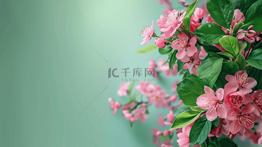 清新花卉春季背景图片_绿色花卉创意背景7