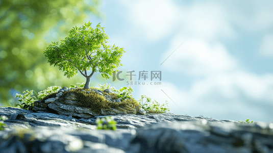 氧气背景图片_春天石崖上绿植背景7