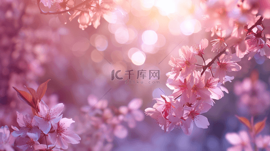 风中的花瓣背景图片_春季桃花盛开浪漫唯美背景7