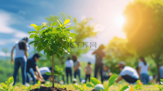 植树节背景图片_植树节团队合作植树活动背景3