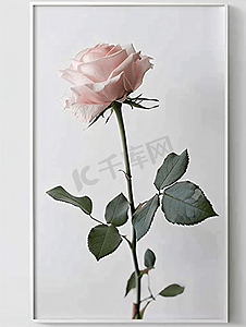 宣传粉色海报摄影照片_粉色玫瑰图案背景10