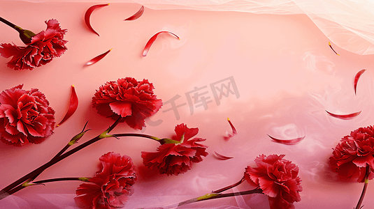 花朵海报摄影照片_鲜花康乃馨主题背景11