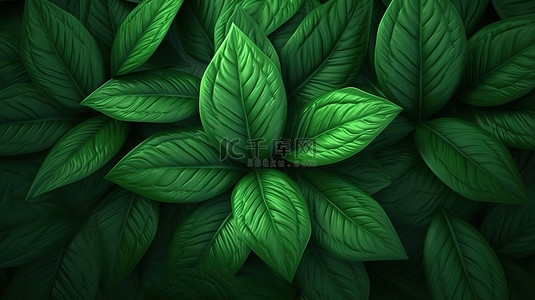 夏天绿叶植物背景图片_绿叶背景的 3d 渲染