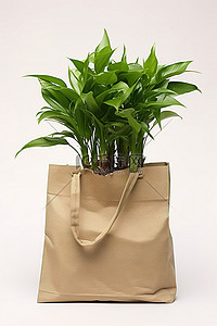 白色背景中装有大型植物的可重复使用的购物袋