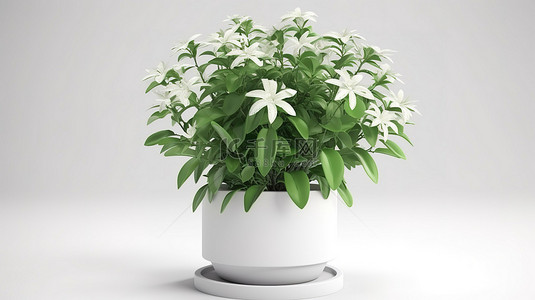 花卉植物在空白画布上以 3D 形式栩栩如生