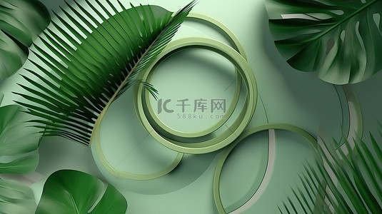 柔和的绿色几何背景，带圆环和热带叶阴影 3d 渲染