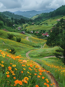 春天开满野花的山谷高清图片