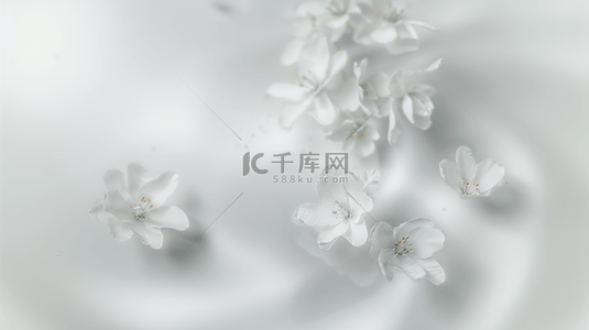 白色花背景图片_春天清新素雅白色花朵虚化朦胧花影花瓣设计