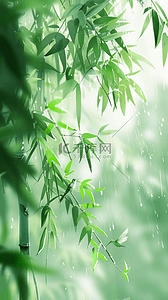 中春国风背景图片_春和景明清明节雨中竹叶春景背景素材