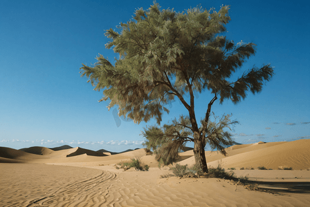 白天沙漠航拍摄影图片