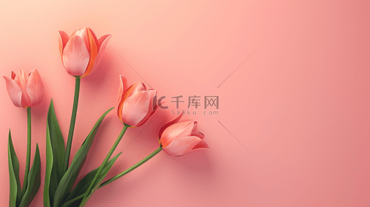 粉色节日背景图片_女神节节日平铺花朵礼物的背景1