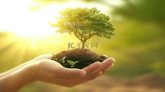 环保背景图片_植树节双手捧着的小树苗3设计图