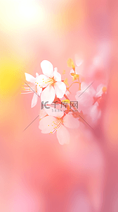 花朵弥散背景图片_粉色春天虚化朦胧花影光影素材