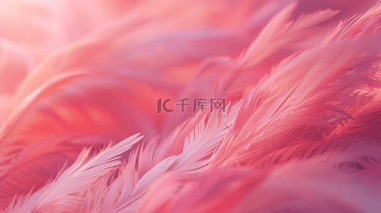 粉色温馨质感线条树叶状叶片的背景13