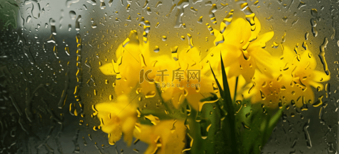 雨玻璃背景图片_春天雨天玻璃窗里的一束黄色的水仙花设计图