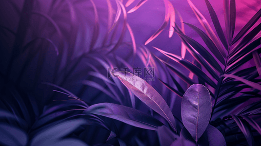 颜色植物背景图片_紫色浪漫深色植物叶片纹理的图片1