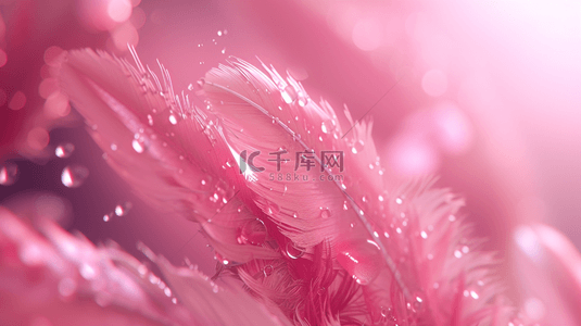 粉色温馨质感线条树叶状叶片的背景17