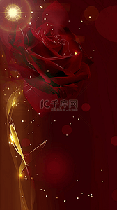 红金色玫瑰妇女节女神节背景