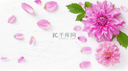 植物海报宣传背景图片_鲜花主题礼物背景34
