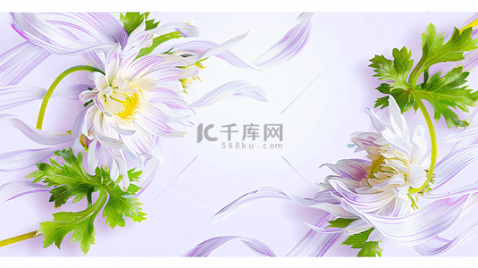 植物海报宣传背景图片_鲜花主题礼物背景31