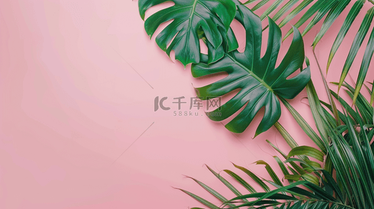 简约粉色平铺树叶叶片纹理的背景7