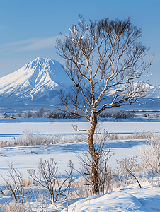 北海道最北端稚内风光