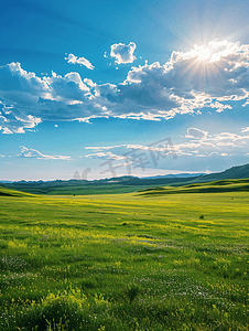 黄花摄影照片_夏天的内蒙古锡林浩特的黄花沟草原风光