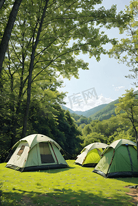 树林植物摄影照片_营地搭建的帐篷摄影图5