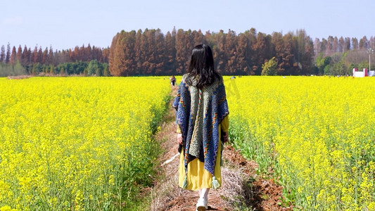 春天油菜花田中的少女自然风景实拍