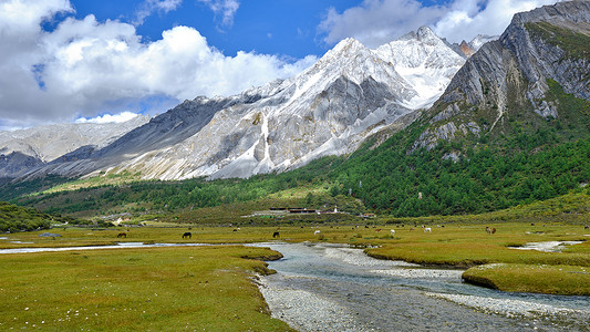 春天春季雪山森林湿地风景摄影图