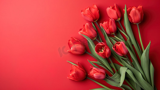 女神节红色场景郁金香花朵花束的摄影9图片