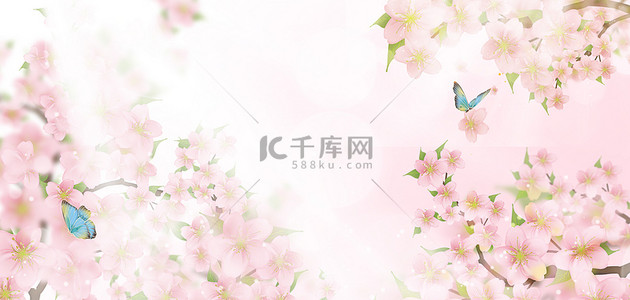 蝴蝶窗花背景图片_花朵樱花粉色春天背景
