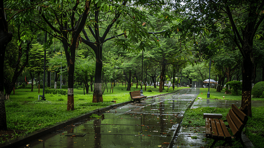 下雨天的公园摄影3