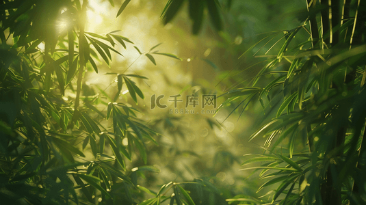 绿色树叶纹理背景图片_春天阳光下森林竹林里树叶纹理的背景12