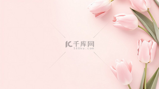 春天边框背景图片_粉红色郁金香花框架背景图片
