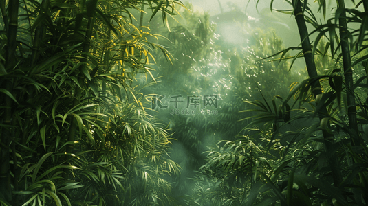 绿色树叶纹理背景图片_春天阳光下森林竹林里树叶纹理的背景1