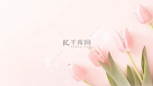 粉红色花朵边框背景图片_粉红色郁金香花框架背景