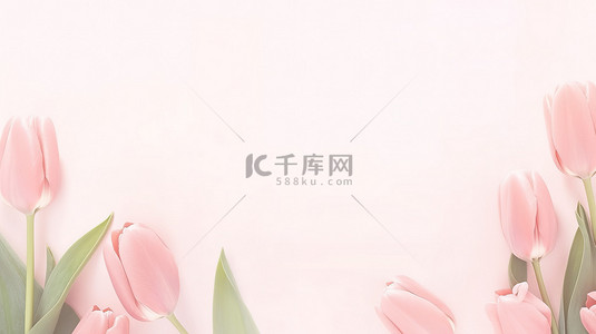 粉红色郁金香花框架素材