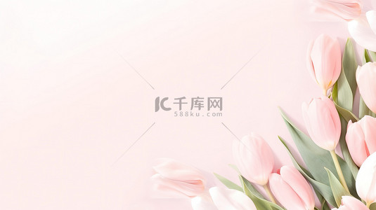 粉红色花朵边框背景图片_粉红色郁金香花框架背景图