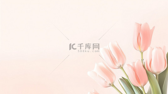 粉红色郁金香花框架背景图