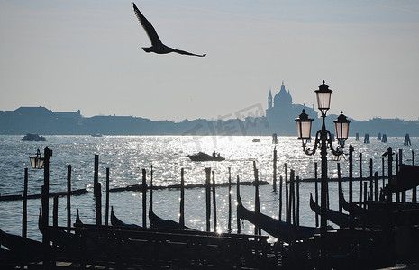 冬季意大利威尼斯傍晚的驳船与海鸥