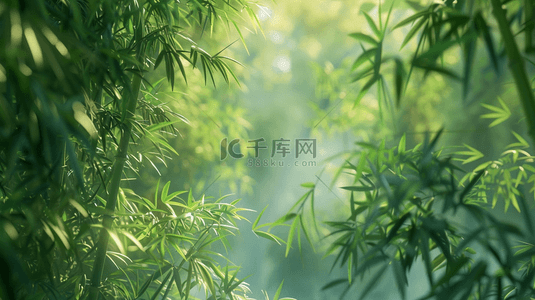 春天阳光下森林竹林里树叶纹理的背景14