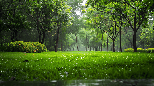 下雨天的公园摄影4